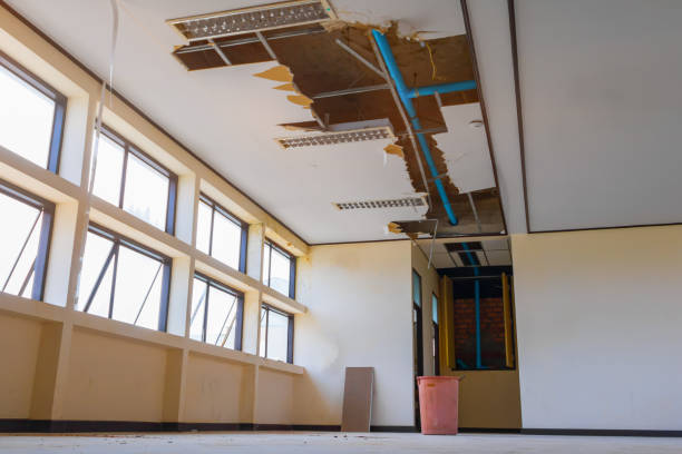 Best Mold removal after water damage  in Spurgeon, TN
