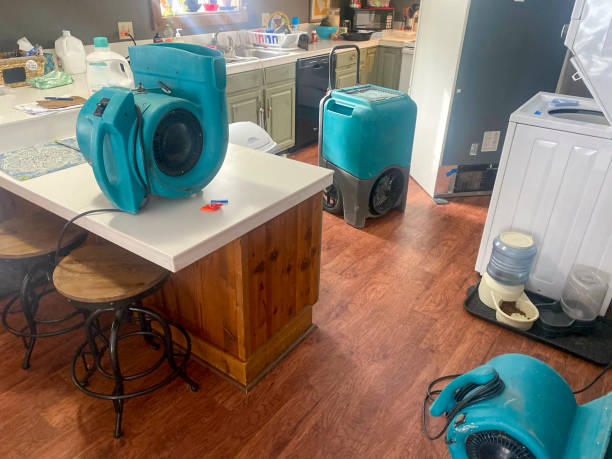 Best Residential water damage restoration  in Spurgeon, TN