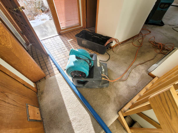  Spurgeon, TN Water damage restoration Pros