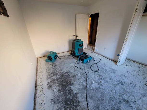Best Emergency water damage restoration  in Spurgeon, TN