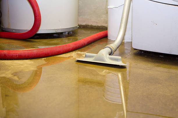 Best Sewage cleanup and water damage restoration  in Spurgeon, TN