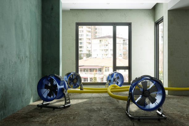 Best Ceiling water damage repair  in Spurgeon, TN
